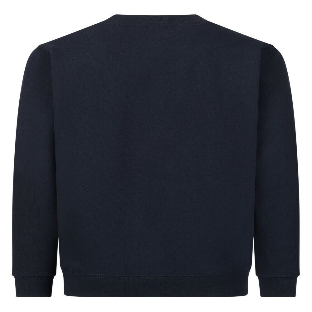 Image for color: french navy